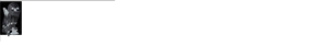 吉川国際特許事務所ーYoshikawa International Patent Officeー
